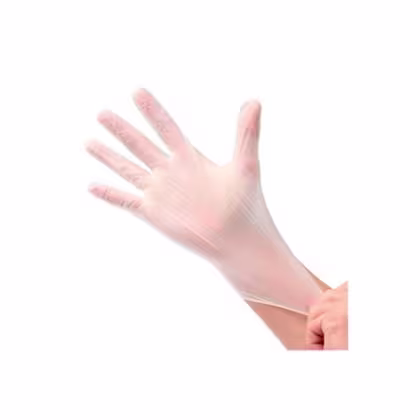 Imagem do produto Santa Clara - Luva De Vinil G (1 Par)