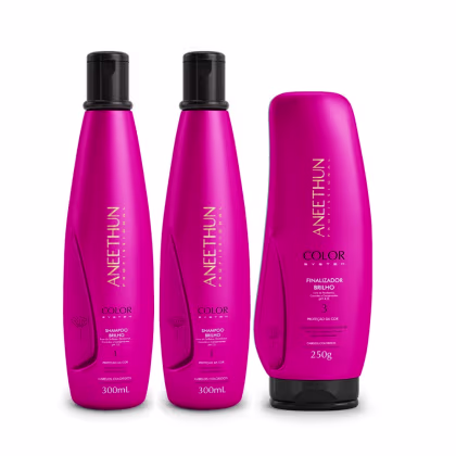 Imagem do produto Kit Aneethun Color System Shampoo 300ml (2 unidades) + Finalizador 250g - 3 Produtos