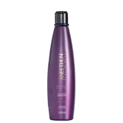 Imagem do produto Aneethun No Frizz System - Shampoo Defrizante 300ml