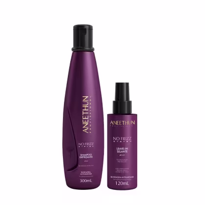 Imagem do produto Kit Aneethun No Frizz - Shampoo 300ml + Leave In Selante 120ml