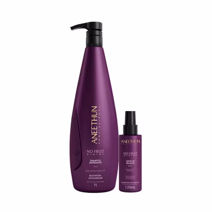 Imagem do produto Kit Aneethun No Frizz - Shampoo 1L + Leave In Selante 120ml