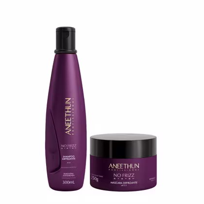 Imagem do produto Kit Aneethun No Frizz - Shampoo 300ml + Máscara 250g