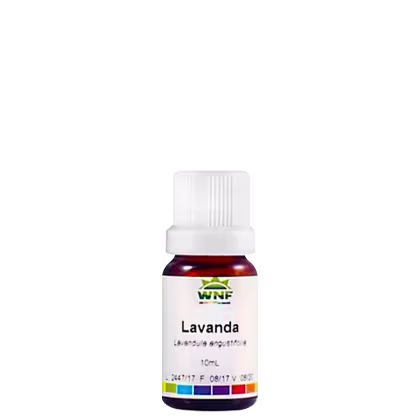 Imagem do produto WNF Vegana - Óleo Essencial Lavanda 10ml