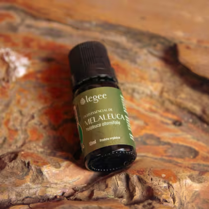 Imagem do produto Óleo essencial de Melaleuca (Melaleuca alternifolia) ORGÂNICO - 10mL