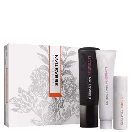 Imagem do produto Kit Sebastian Professional  Penetraitt + Potion 9 (3 Produtos)