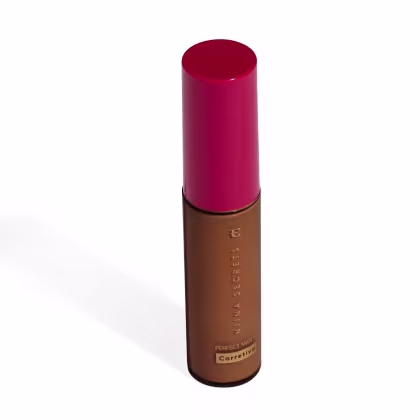 Imagem do produto Corretivo Niina Secrets Perfect Match Cor 95 10ml