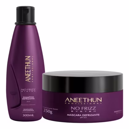 Imagem do produto Kit Aneethun No Frizz Shampoo 300ml + Máscara 250g