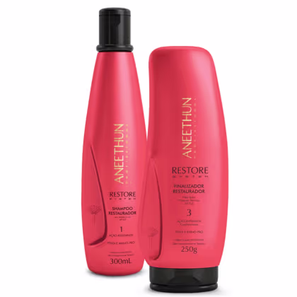 Imagem do produto Kit Shampoo Finalizador Aneethun Restore System Restaurador