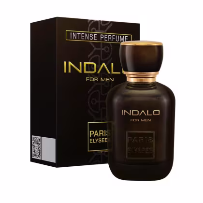 Imagem do produto Indalo Paris Elysees Perfume Masculino EDT 100 ml