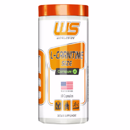 Suplemento Alimentar Worldsize L-Carnitine Size Carnipure, 60 cápsulas.