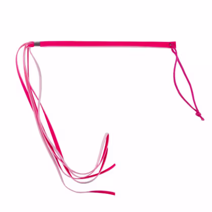 Imagem do produto Chicote Fino com Alça - 58 cm | Cor: Rosa | Brasil Fetiche