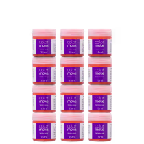 Imagem do produto Kit Colormake em Caixa Laranja - Tinta Líquida 12x15ml