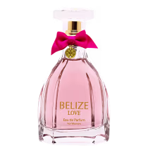 Imagem do produto ELODIE ROY PAVANE WOMEN EDP 100ML