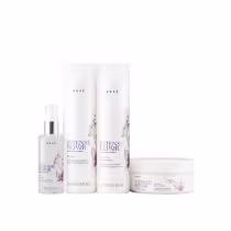 Imagem do produto Kit Braé Intense Repair By Ana Paula Siebert - Shampoo 250ml + Condicionador 250ml + Máscara 200g + Óleo 60ml