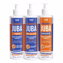 Imagem do produto Kit Widi Care Blindando A Juba - Shampoo + Creme de Pentear + Condicionador