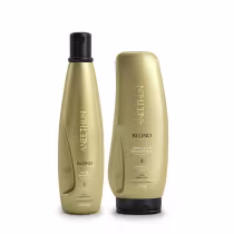 Imagem do produto Kit Aneethun Blond System - Shampoo Silver 300ml + Finalizador Termoativado 250g
