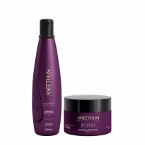 Imagem do produto Kit Aneethun No Frizz - Shampoo 300ml + Máscara 250g