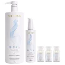 Imagem do produto Kit Aneethun Hidra - Shampoo 1L + Finalizador 210ml + Ampolas 13ml (3Unidades)
