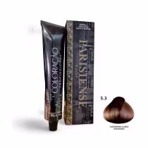 A imagem mostra produtos de coloração de cabelo profissional da marca Paris Cosmetics. Há uma caixa retangular exibindo o logotipo e nome "Paris Cosmetics". Ao lado está um tubo preto brilhante com a mesma marca impressa, contendo o creme colorante.