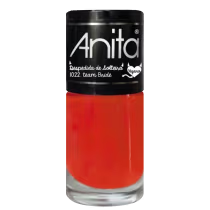 Imagem do produto Anita Despedida de Solteira Team Bride - Esmalte Cremoso 10ml