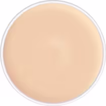 Imagem do produto Kryolan Dermacolor Camouflage Creme Refil D1W - Corretivo Cremoso 4g