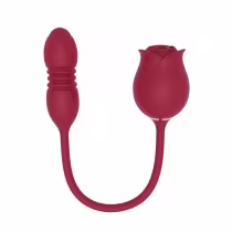 Imagem do produto Rosa Sugador de Clitóris e Vibrador Vai e Vem 10 Modos de Vibração em Silicone Recarregável