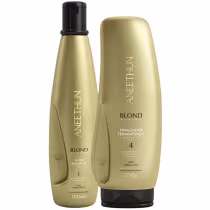 Imagem do produto Kit Blond System Silver Aneethun Manutenção Uso Diario