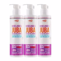 Imagem do produto Widi Care Modelando A Juba Kit 3 Geleia Seladora 300g