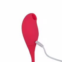 Imagem do produto Vibrador Duplo com Estimulações e Pulsações -Pleasure Dreams