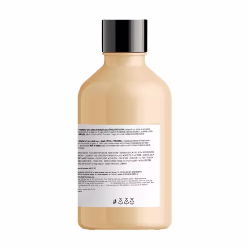 Kit L'Oréal Professionnel Serie Expert Absolut Repair Gold Quinoa + Protein Dupla Essencial, 2 produtos.