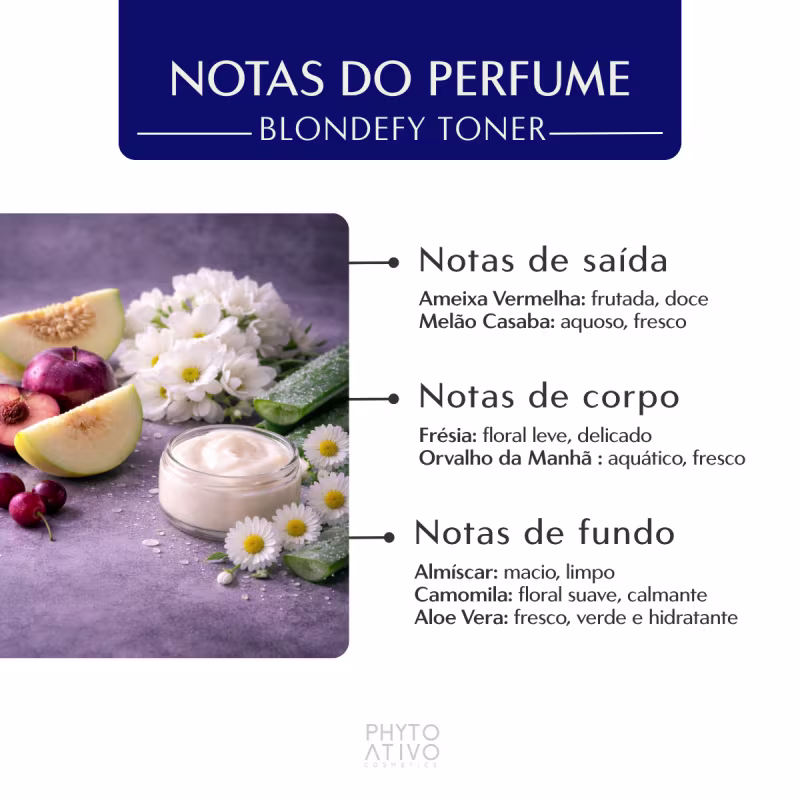 Máscara Matizadora Blondefy Toner Phyto Ativo Platinum Blond 400g