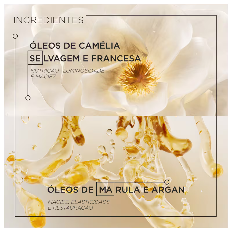 A imagem mostra os ingredientes, ao fundo há a imagem de uma camélia selvagem e francesa e embaixo destaca seus benefícios como nutrição, luminosidade e maciez. Embaixo há imagem de óleos, indicados como marula e argan e benefícios como elasticidade.