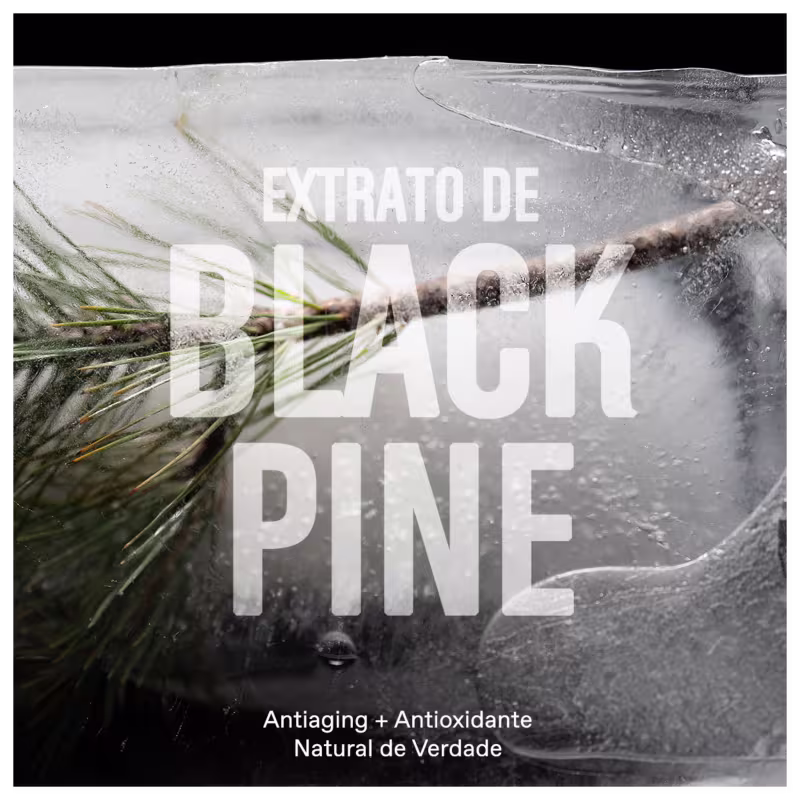 "Extrato de Black Pine" está em destaque no centro da imagem, Ao fundo um galho e uma textura congelada.