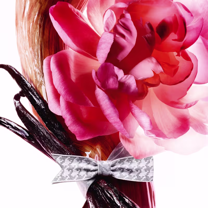 Buquê rosas em primeiro plano, embalado com laço estampado da marca Dior.