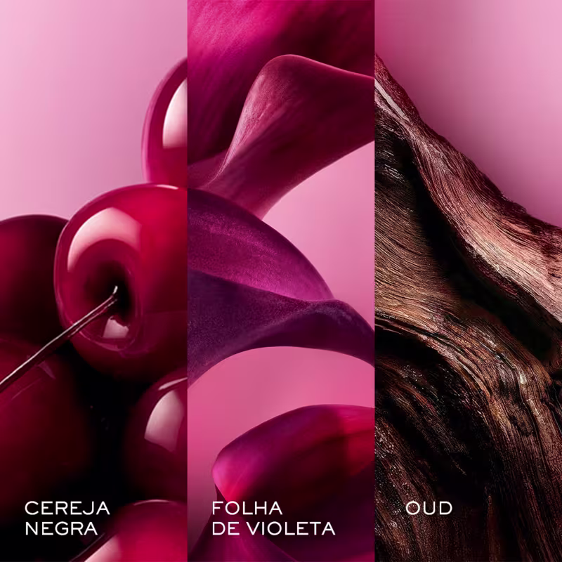 CEREJA NEGRA, FOLHA DE VIOLETA, OUD