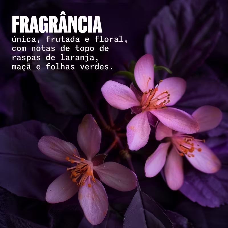 A imagem apresenta flores e o texto: Fragrância única, frutada e floral, com notas de topo de raspas de laranja, maçã e folhas verdes.