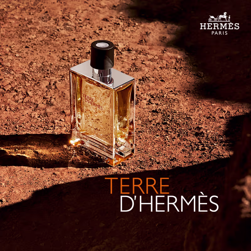 Terre d’Hermès Hermès Eau de Toilette - Perfume Masculino 30ml