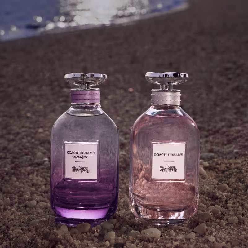 Coach Dreams Coach Eau de Parfum - Perfume Feminino 90ml