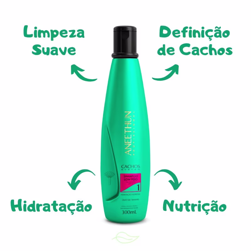 Aneethun Cachos System Shampoo, Máscara e Creme de Silicone