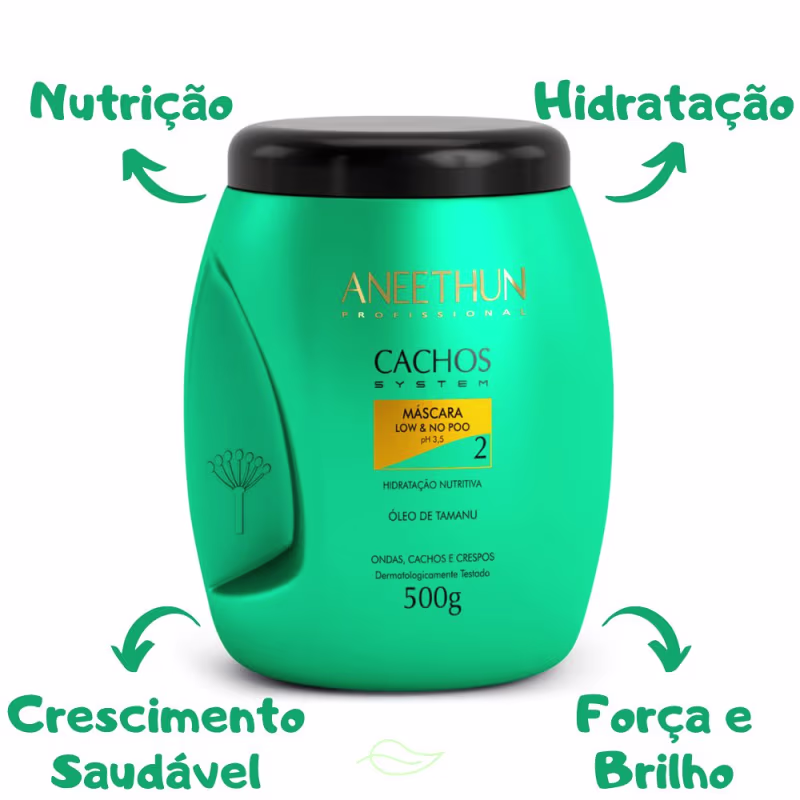 Aneethun Cachos System Shampoo, Máscara e Creme de Silicone