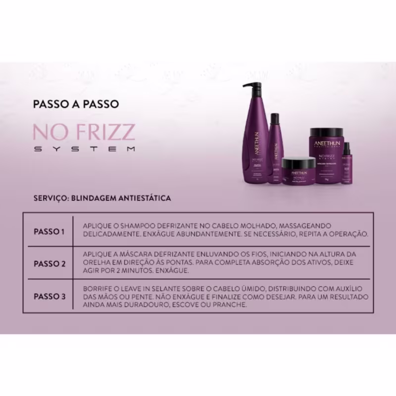 Kit Aneethun No Frizz System Shampoo + Máscara + Leave-in Selante