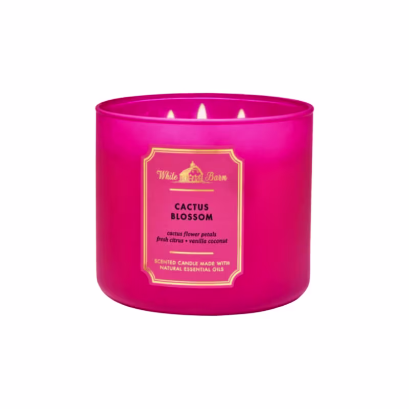 Vela Aromática Cactus Blossom White Barn Bath & Body Works 411G