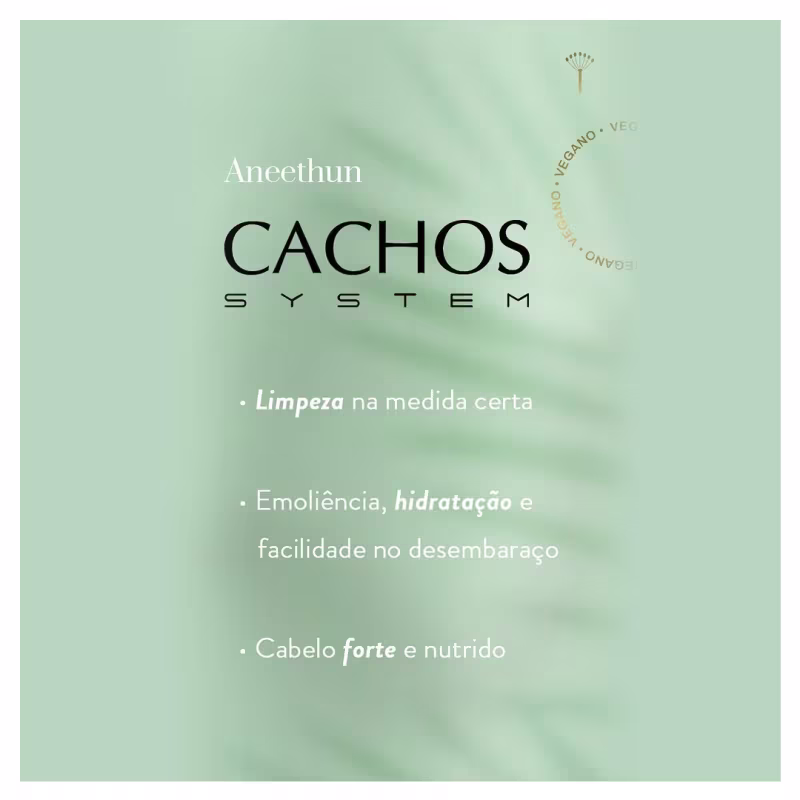 Aneethun Cachos System Kit Shampoo Low Poo e Máscara Low & No Poo 500g