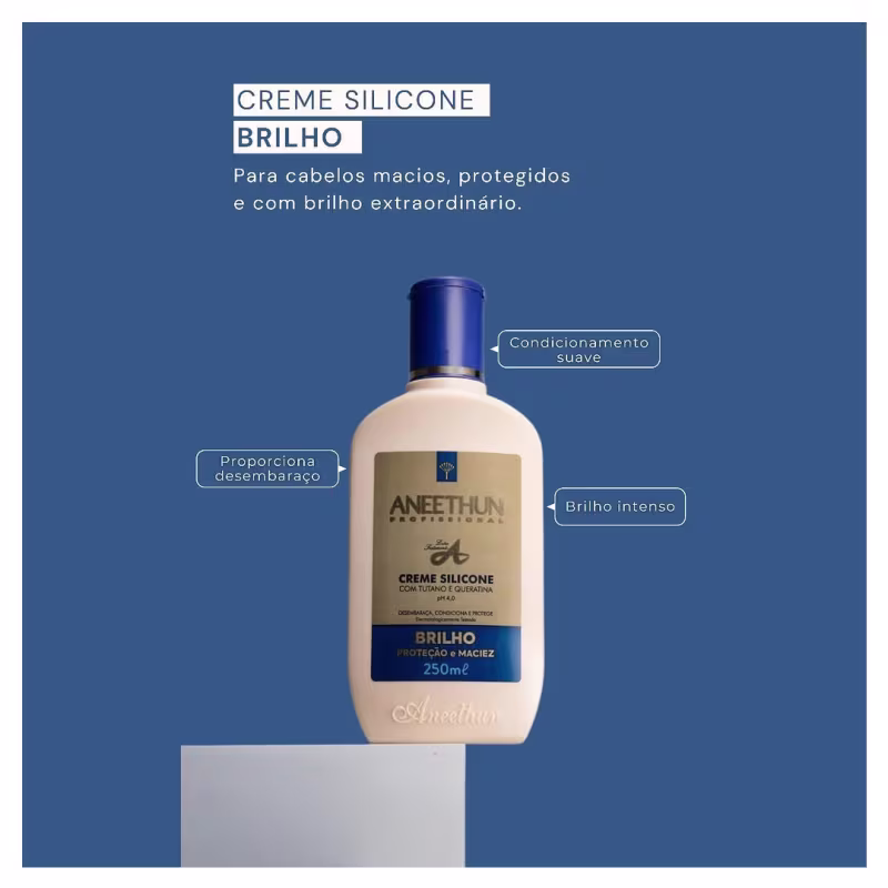 Aneethun Kera System Kit Shampoo Recondicionador Finalizador e Creme de Silicone Brilho 250ml