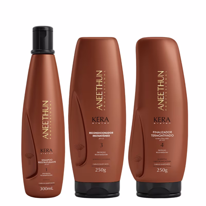 Aneethun Kera System Kit Shampoo Recondicionador e Finalizador Termoativado 250g