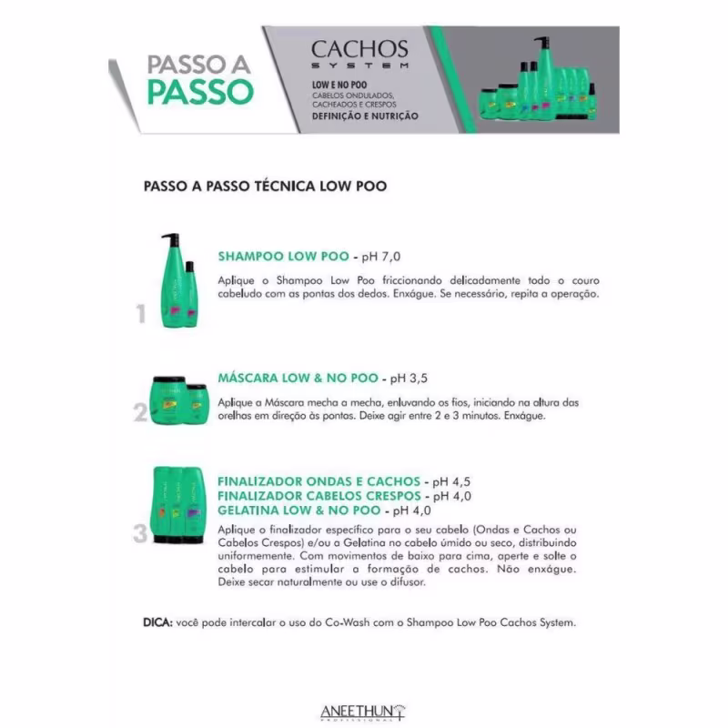 A imagem apresenta uma série de produtos da linha Cachos System da marca Aneethun.