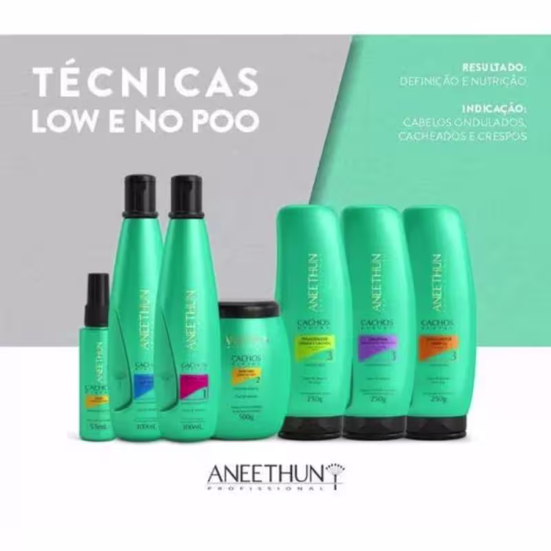 A imagem apresenta uma série de produtos da linha Cachos System da marca Aneethun.