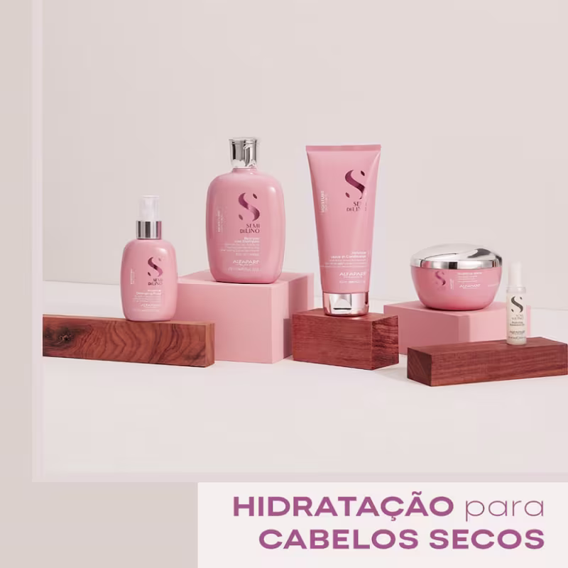 Kit de Tratamento Leave-In Alfaparf Semi Di Lino Moisture Grande