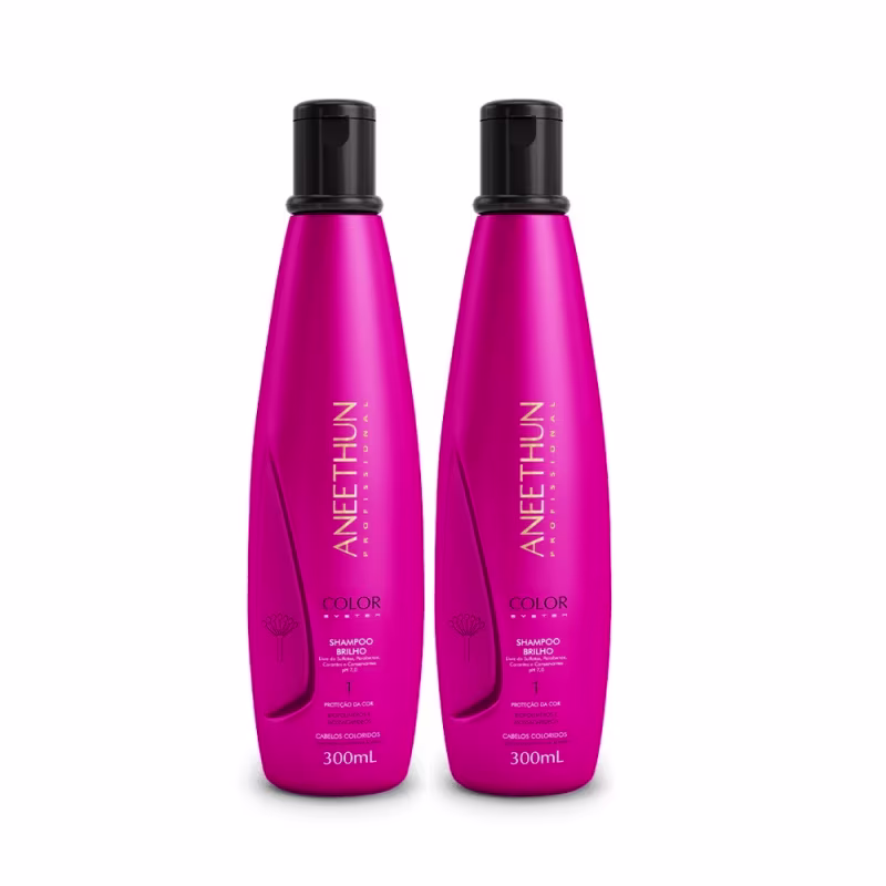 Kit Aneethun Color System Shampoo 300ml (2 unidades) + Máscara 250g + Finalizador 250g - (4 Produtos)