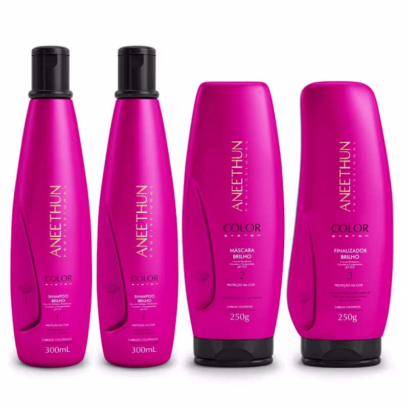 Kit Aneethun Color System Shampoo 300ml (2 unidades) + Máscara 250g + Finalizador 250g - (4 Produtos)